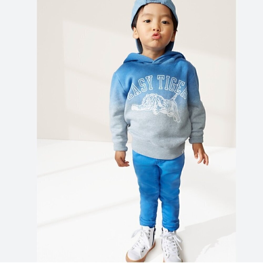 GAP 3T Graphic Ombre Hoodie Sweatshirt Easy Tiger